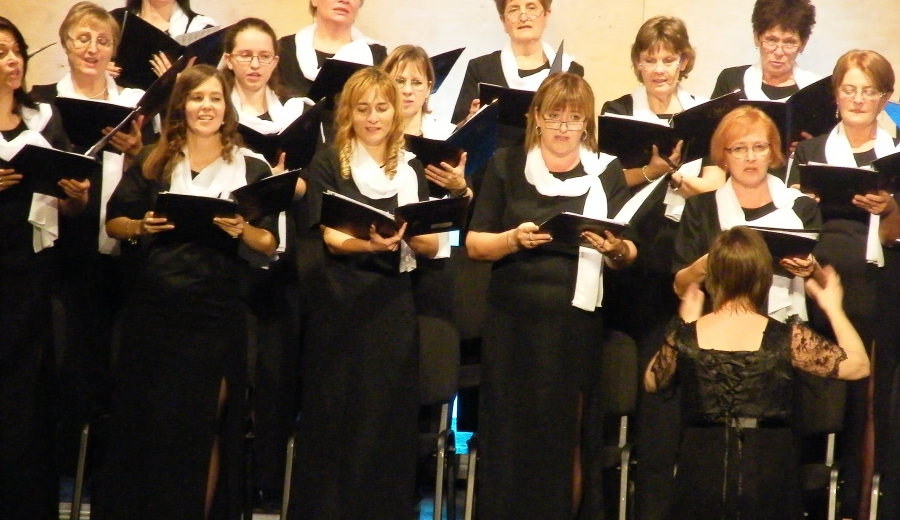 6. műhely: „Almafa álma”