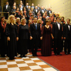 Közreműködés orgonakoncerten